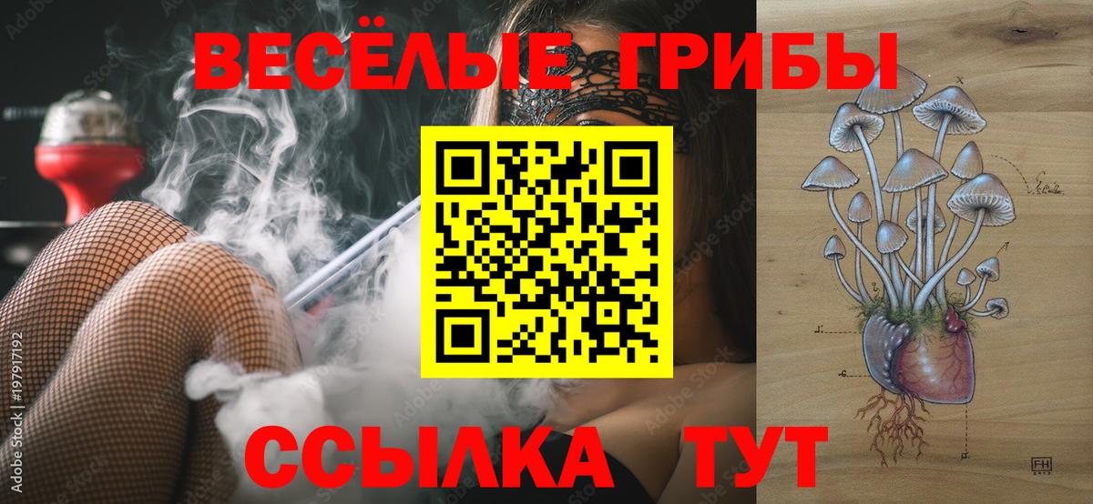 Галлюциногенные грибы MAGIC MUSHROOMS  Вход с VPN  Бутурлиновка 