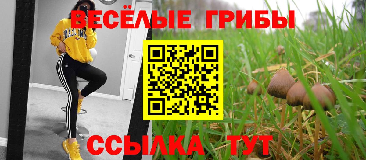 Псилоцибиновые грибы MAGIC MUSHROOMS Бутурлиновка